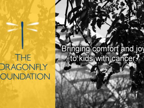 Chalk FarM helps Dragonfly Foundation