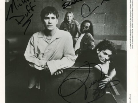 Toby is a Californian again!